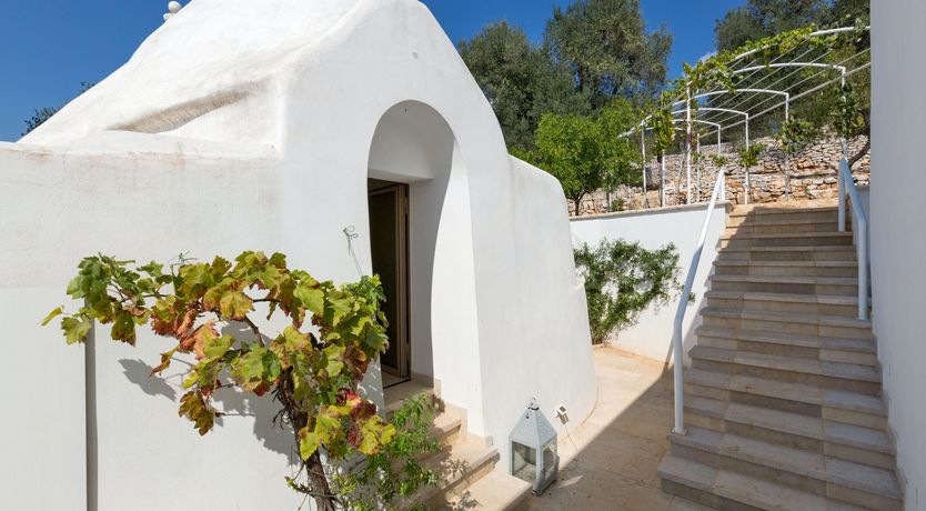 Photo of Valley of the Olive Trees