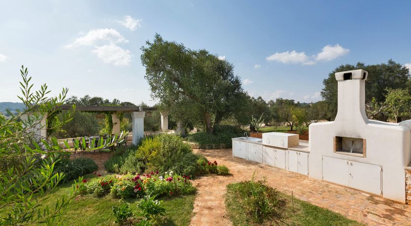 Photo of Valley of the Olive Trees