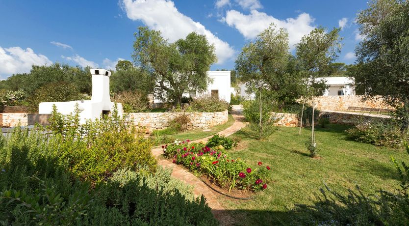 Photo of Valley of the Olive Trees