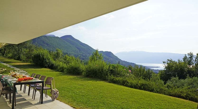 Photo of The Amber Tree