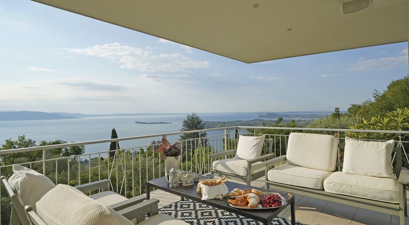 Photo of The Amber Tree