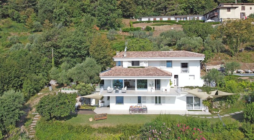 Photo of The Amber Tree