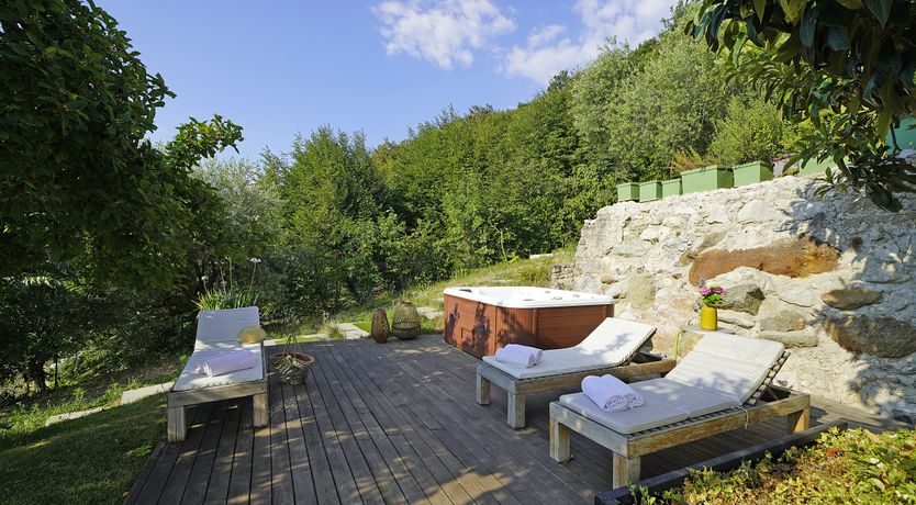 Photo of The Amber Tree