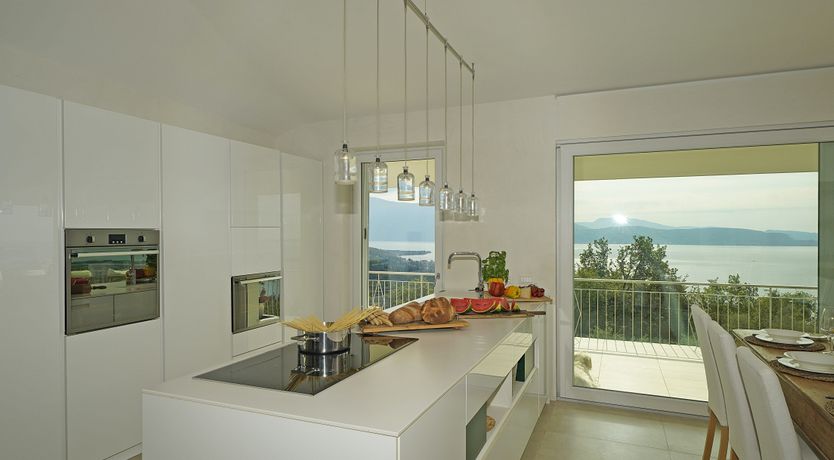 Photo of The Amber Tree