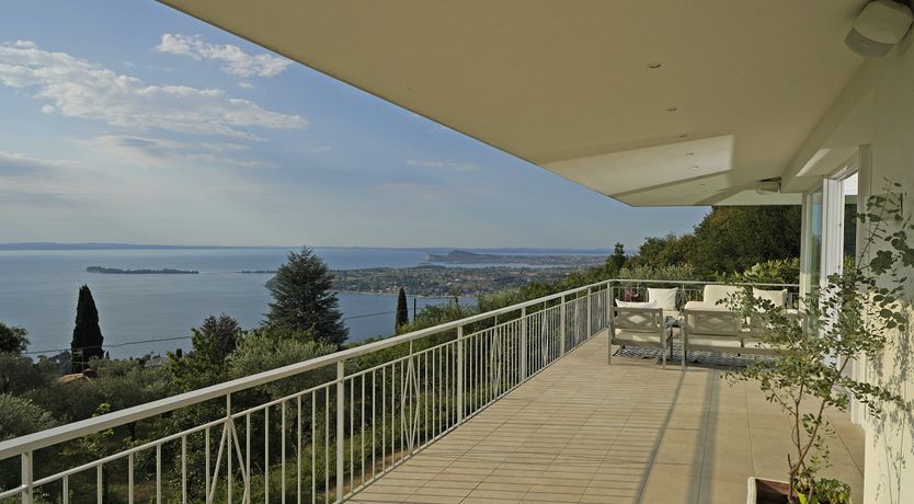 Photo of The Amber Tree