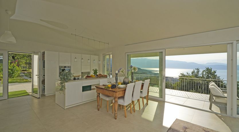 Photo of The Amber Tree