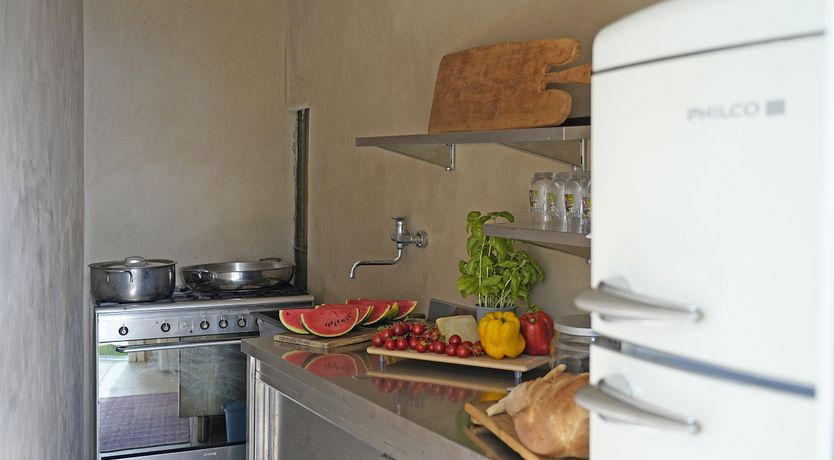 Photo of The Amber Tree