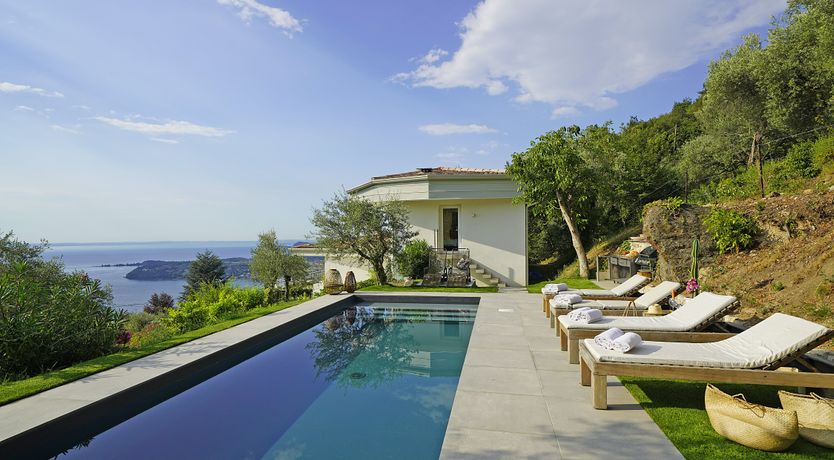 Photo of The Amber Tree