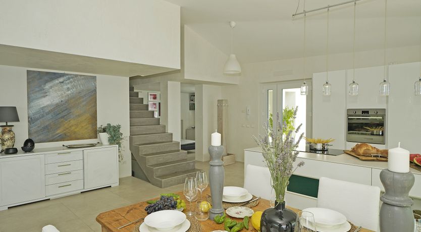 Photo of The Amber Tree