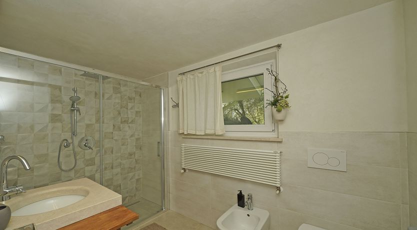 Photo of The Amber Tree