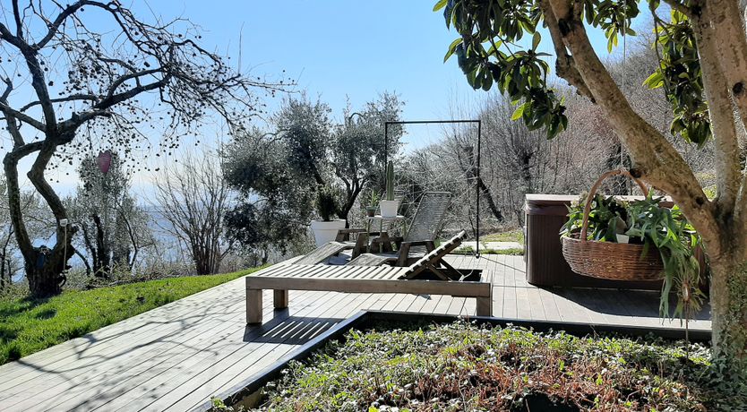 Photo of The Amber Tree