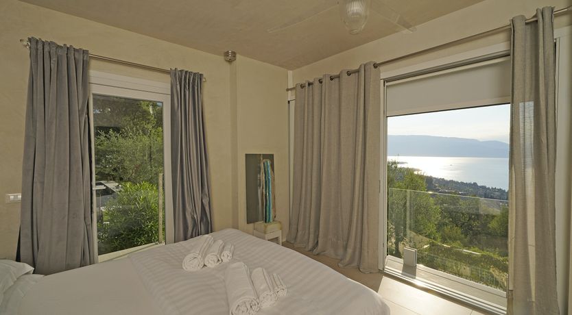 Photo of The Amber Tree