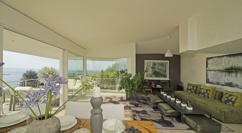 Photo of The Amber Tree