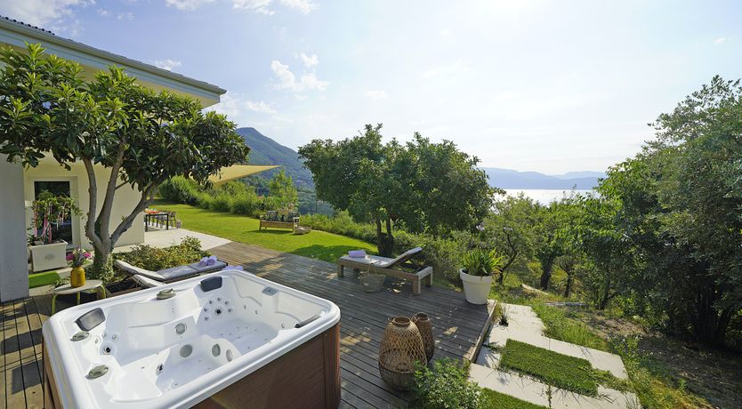 Photo of The Amber Tree