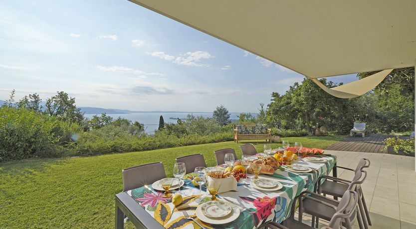 Photo of The Amber Tree