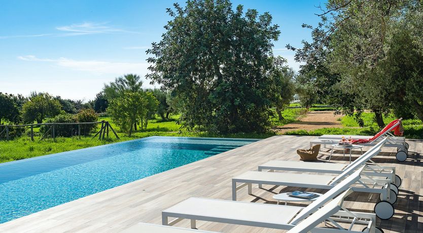 Photo of Sicilian Blossom