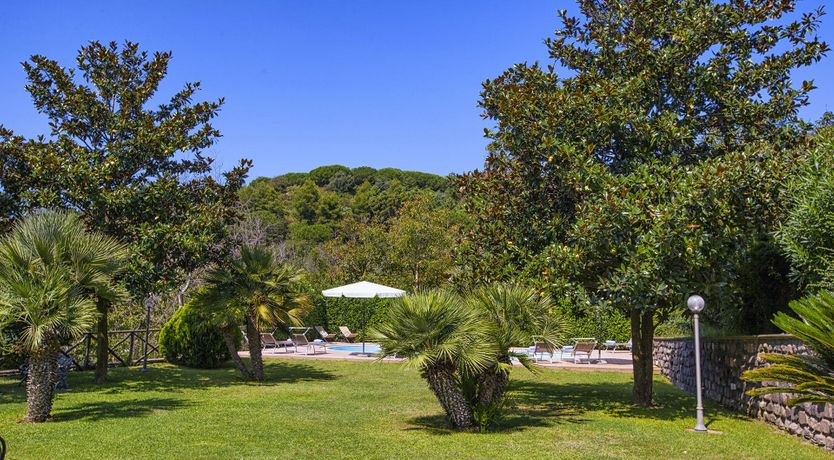 Photo of The Rose of Nature