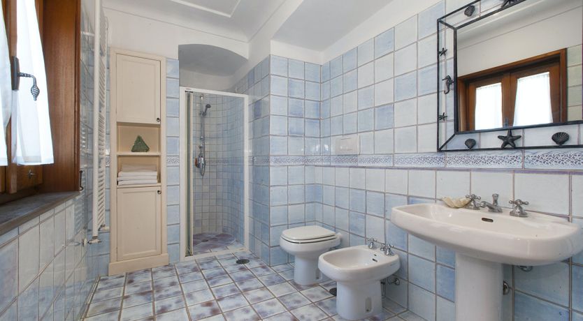 Photo of The Rose of Nature