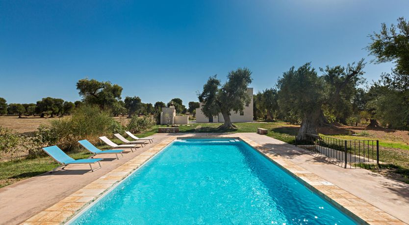 Photo of The Sheer Bliss