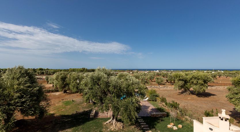 Photo of The Sheer Bliss