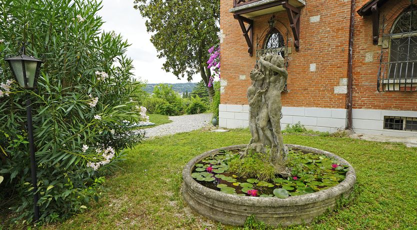 Photo of The Grand Stag