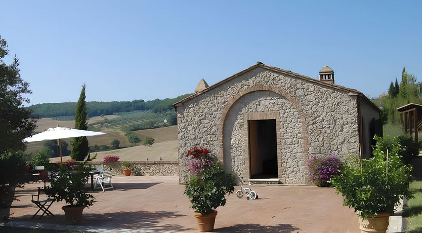 Photo of A Tulip Moment