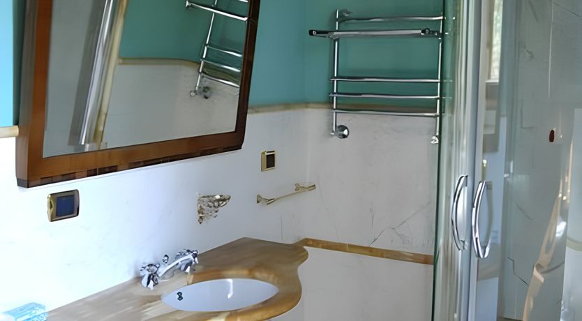 Photo of A Tulip Moment