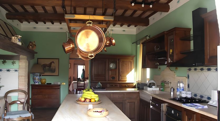 Photo of A Tulip Moment