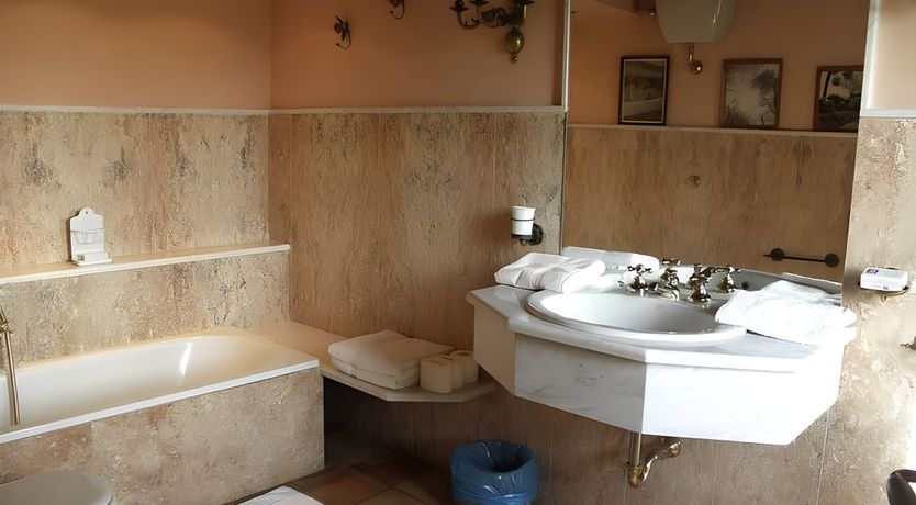 Photo of A Tulip Moment