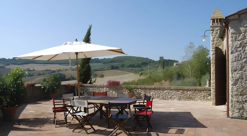 Photo of A Tulip Moment