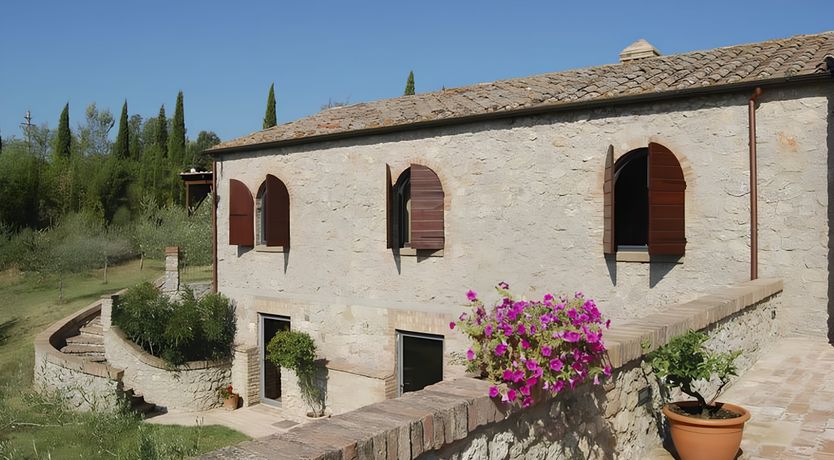 Photo of A Tulip Moment