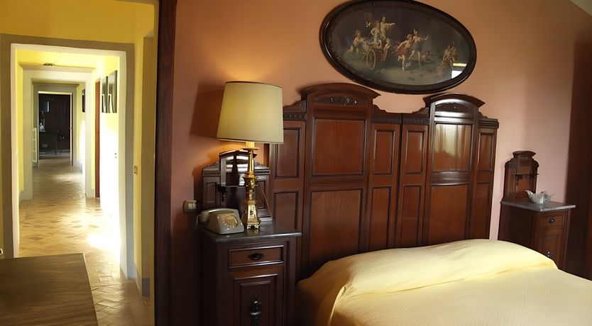 Photo of A Tulip Moment