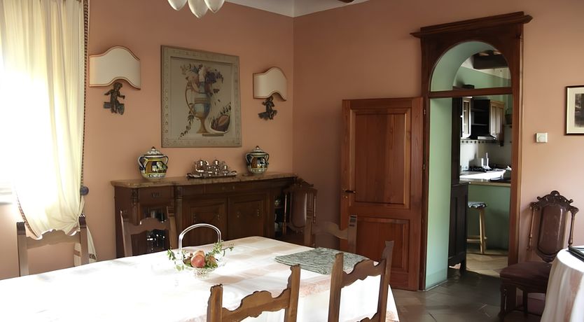 Photo of A Tulip Moment