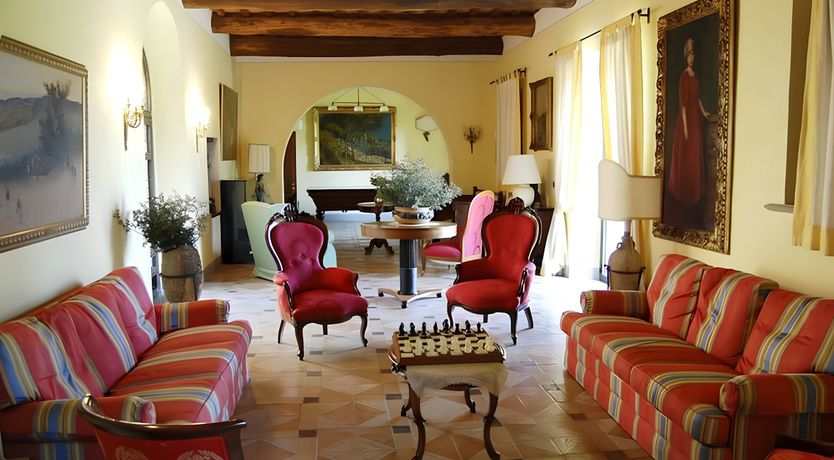 Photo of A Tulip Moment