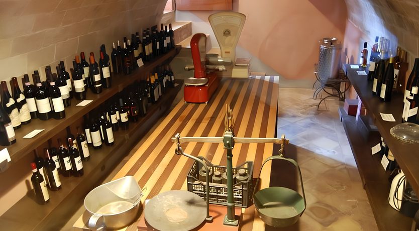 Photo of A Tulip Moment