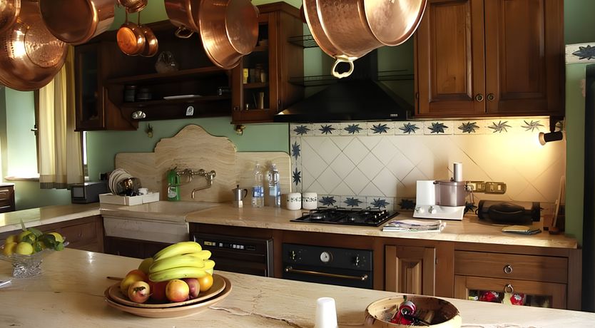 Photo of A Tulip Moment