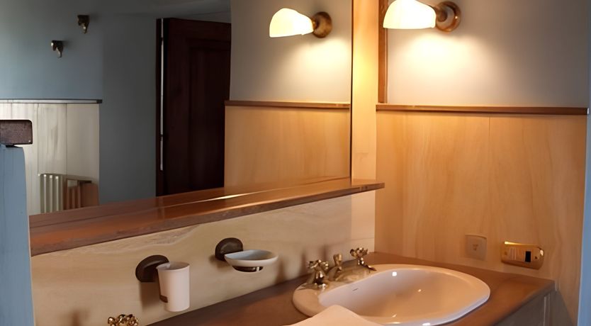 Photo of A Tulip Moment