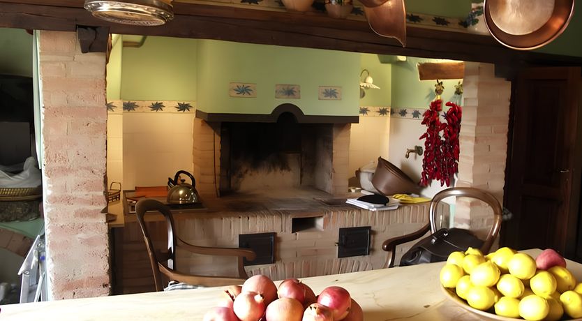 Photo of A Tulip Moment