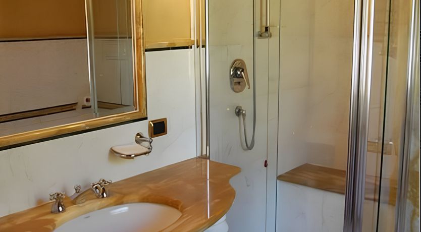 Photo of A Tulip Moment