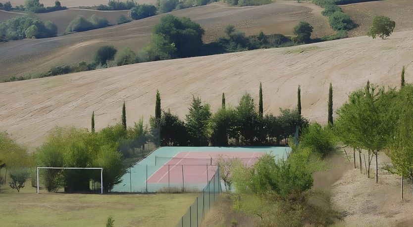 Photo of A Tulip Moment