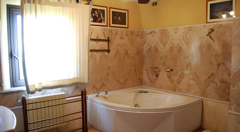 Photo of A Tulip Moment