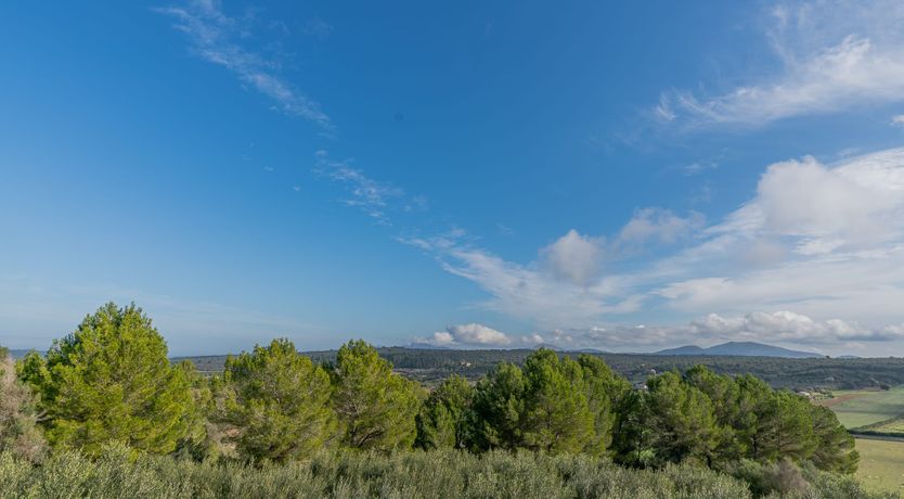 Photo of All This and Heaven Too