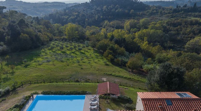 Photo of Palaia Paradise