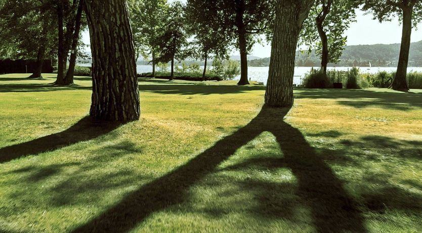 Photo of Lakeside Haze