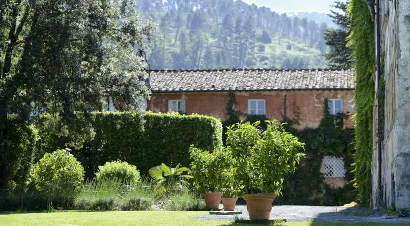 Photo of The Floral Garden