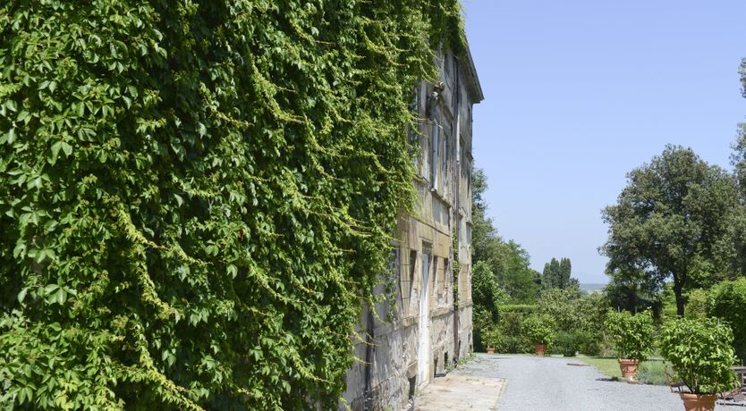 Photo of The Floral Garden