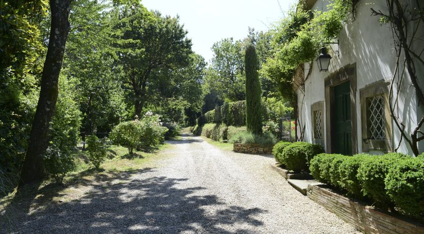 Photo of The Floral Garden
