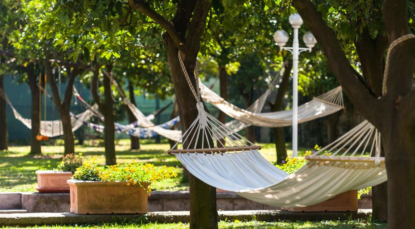 Photo of The Soprano