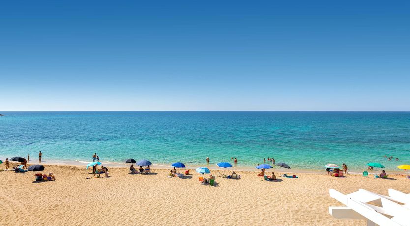 Photo of Olive's Rest