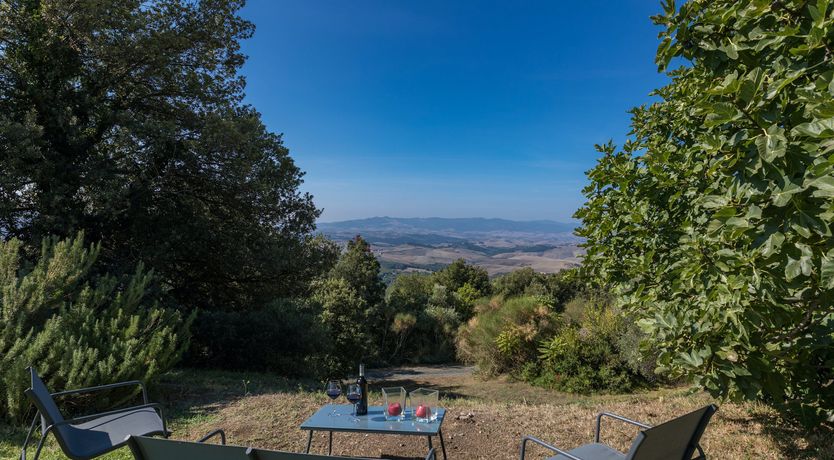 Photo of Chasing Flowers